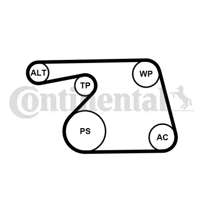 Water Pump + V-ribbed Belt Kit